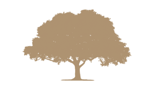 Tree Logo